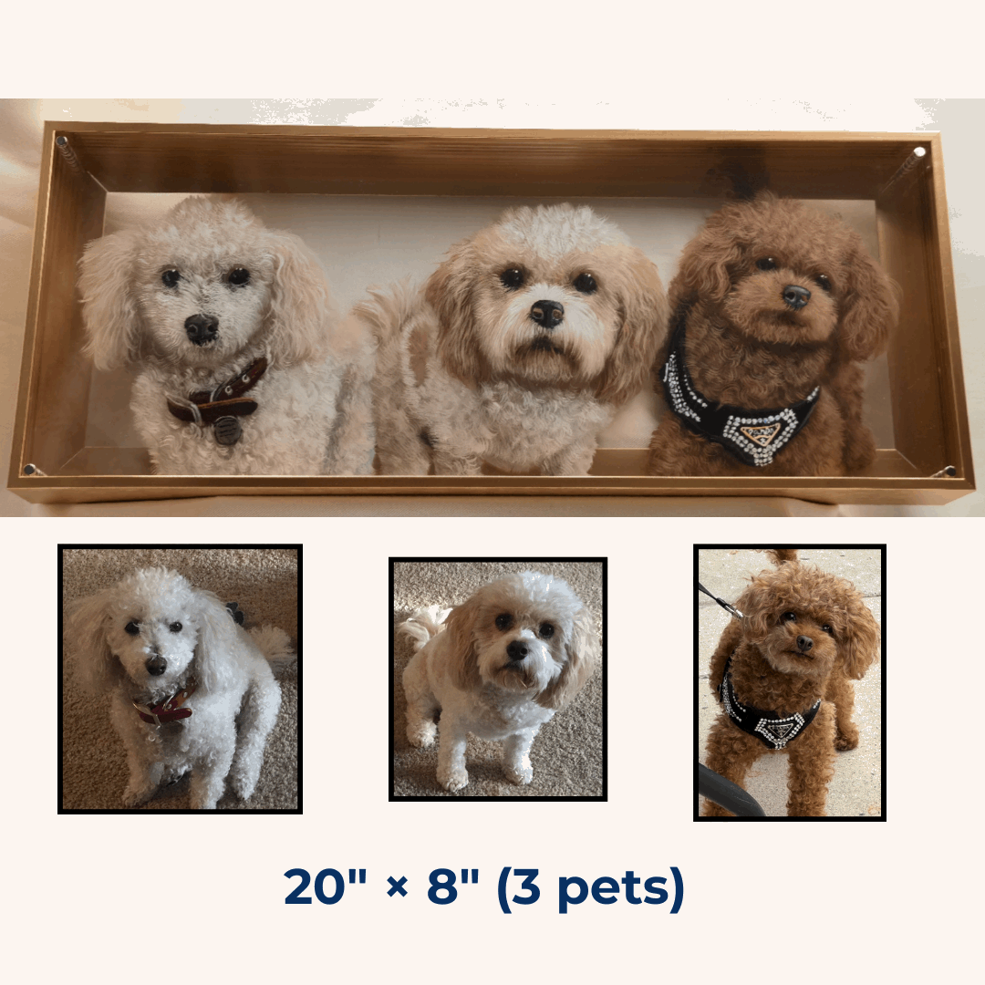 Eternal 3D Pet Portrait